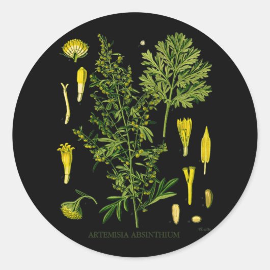 Sticker Rond Artemesia Absinthium (Devant)