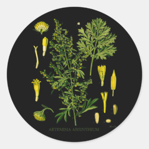 Sticker Rond Artemesia Absinthium