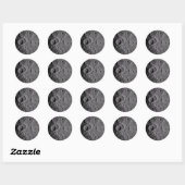 Sticker Rond Artemis II Lunar Craters (Feuille)
