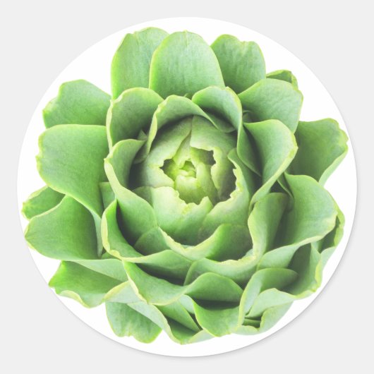 Sticker Rond Artique (Devant)