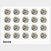 Sticker Rond Artistes Trapeze (Feuille)