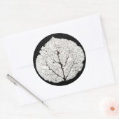 Sticker Rond Aspen Feuille Squelette 1 (Enveloppe)