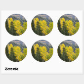 Sticker Rond Aspen Trees (Populus Tremuloides) Et Conifères 2 (Feuille)