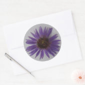 Sticker Rond Aster (Enveloppe)