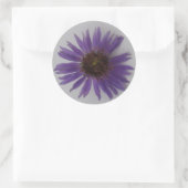 Sticker Rond Aster (Sac)