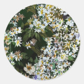 STICKER ROND ASTER FLOWERS (Devant)