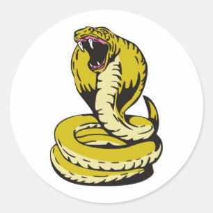 Sticker Rond attaque fâchée de serpent de cobra de roi