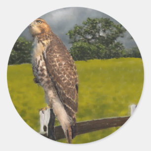 Sticker Rond Attente de la tempête - Red tail Hawk