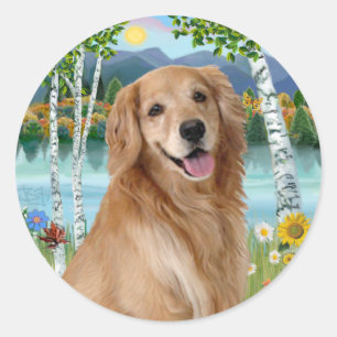 Sticker Rond Au lac - Golden Retriever