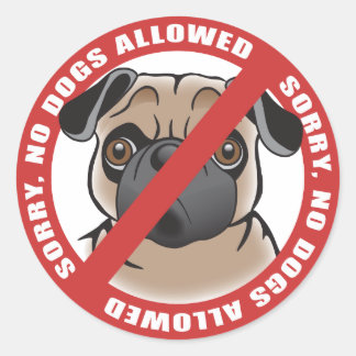 Sticker Rond Aucun chien autorisé
