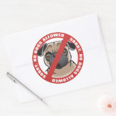 Sticker Rond Aucun chien autorisé (Enveloppe)