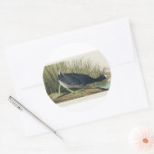Sticker Rond Audubon American Coot from Birds of America (Enveloppe)