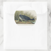 Sticker Rond Audubon American Coot from Birds of America (Sac)