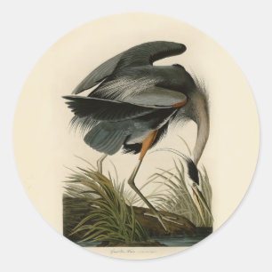 Sticker Rond Audubon Great Blue Heron Marsh Bird