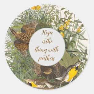 Sticker Rond Audubon Meadowlark Botank Imprimer