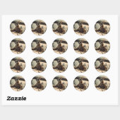 Sticker Rond Aussie Kangaroo Pilote d'avion Latte Mug (Feuille)