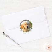 Sticker Rond Austin The Golden Labrador (Enveloppe)