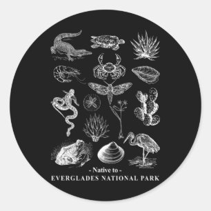Sticker Rond Autochtone du parc national des Everglades Amoureu