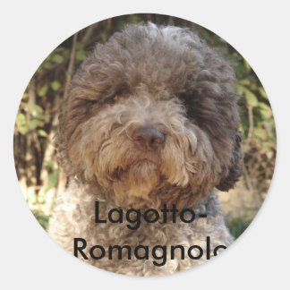 Sticker Rond autocollant, Lagotto-Romagnolo