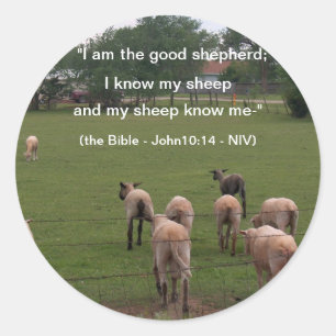 Sticker Rond Autocollants/moutons