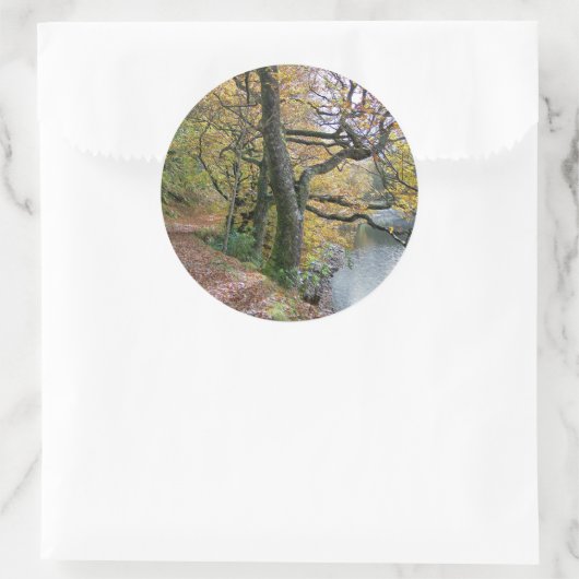 STICKER ROND AUTOMNE (Sac)