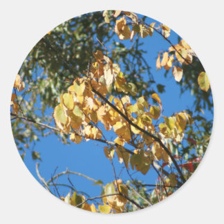 Sticker Rond Automne après-midi