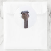 Sticker Rond autruche (Sac)