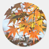 Sticker Rond Autumn Leaves (Devant)