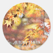 Sticker Rond Autumn Leaves (Devant)