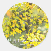Sticker Rond Autumn Leaves (Devant)