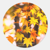 Sticker Rond Autumn Leaves [Round Seal] (Devant)