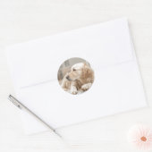 Sticker rond avec portrait de Golden Retriever (Enveloppe)