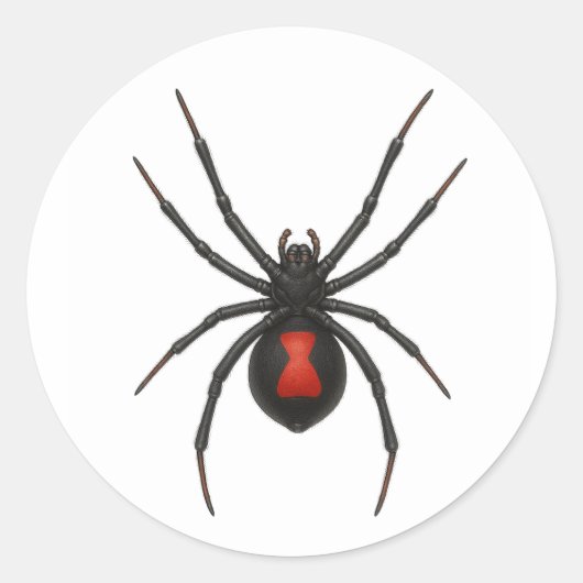 Sticker Rond Avertissement de la veuve : Spider de veuve noire (Devant)