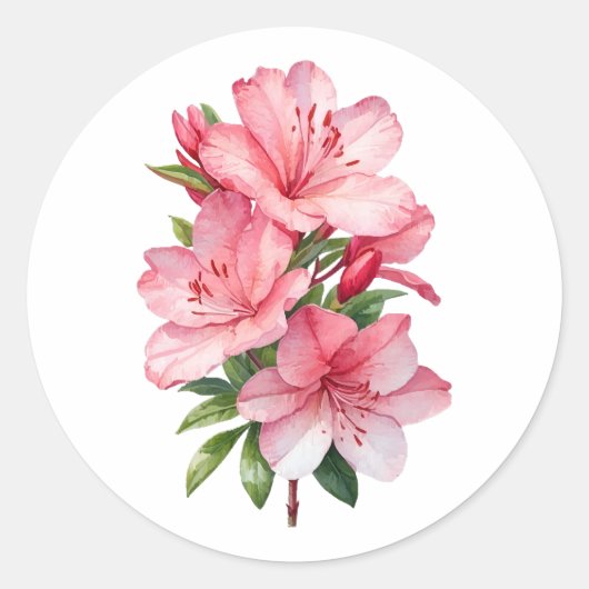 Sticker Rond Azalea peinture aquarelle (Devant)