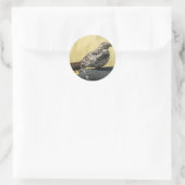 Sticker Rond B29 Engoulevent commun (Sac)