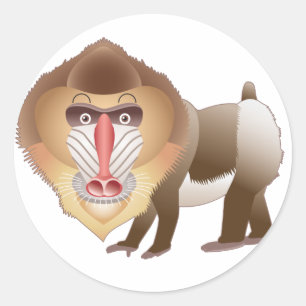 Sticker Rond Baboon