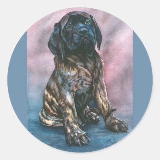 Sticker Rond Baby Brindle Mastiff