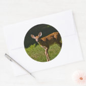 Sticker Rond Baby Deer (Enveloppe)