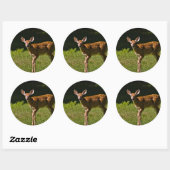 Sticker Rond Baby Deer (Feuille)