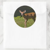 Sticker Rond Baby Deer (Sac)