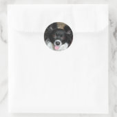 Sticker Rond Baby sucre (Sac)
