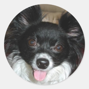 Sticker Rond Baby sucre