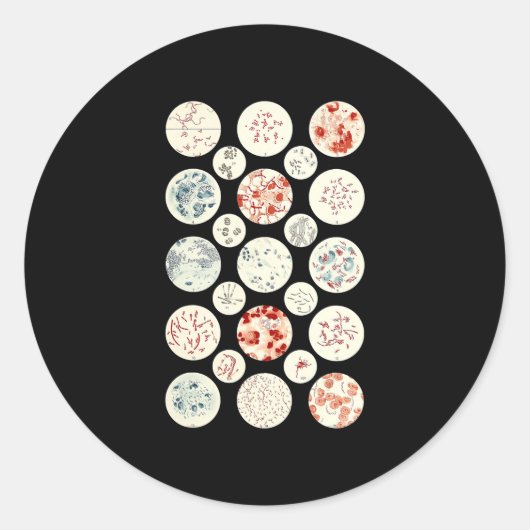 Sticker Rond bactéries drôle microbiologie bactéries science mi (Devant)