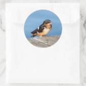 Sticker Rond Baguette d'hirondelle (Sac)