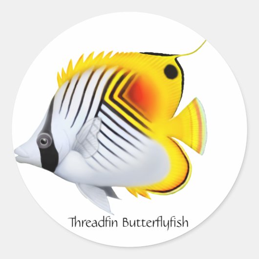 Sticker Rond Baguette Threadfin Auriga Papillon poisson personn (Devant)
