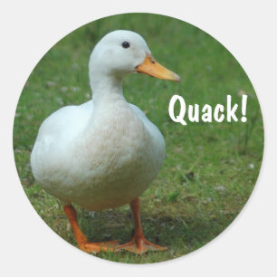 Sticker Rond Baguettes de canard blanc mignonnes