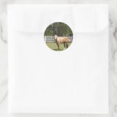 Sticker Rond Baguettes de cheval (Sac)