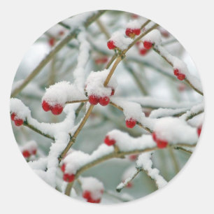 Sticker Rond Baies rouges dans la neige