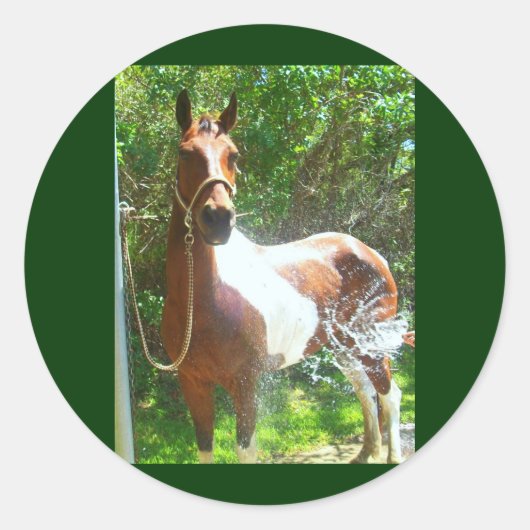 Sticker Rond Bain de peinture (Devant)