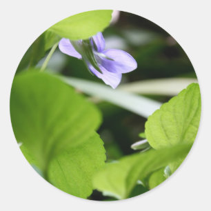 Sticker Rond Bain de soleil ?